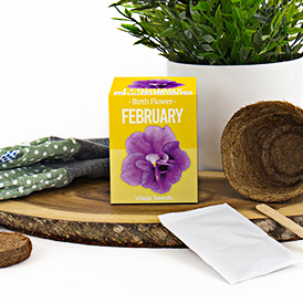 Birth Flowers - February