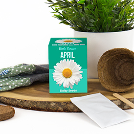 Birth Flowers - April