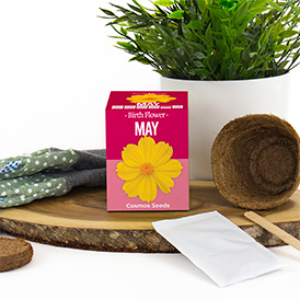 Birth Flowers - May