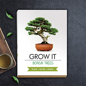Grow It - Bonsai Trees