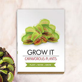 Carnivorous Plants