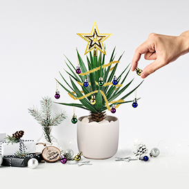 Festive Plant Baubles