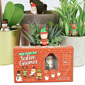 Festive Plant Markers