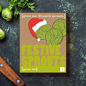 Grow Me: Festive Sprouts