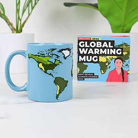 Global Warming Heat Reveal Mug