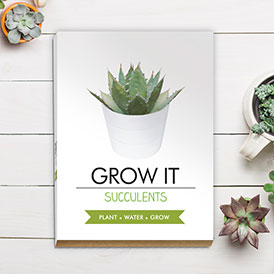 Grow It - Succulent