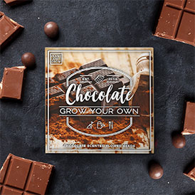  Chocolate