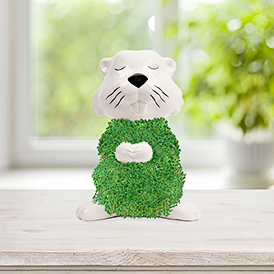 Hairy Beaver Planter