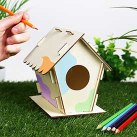 Bird House - DIY Habitat
