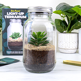 Light-up Terrarium