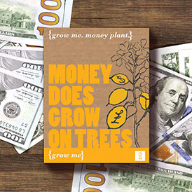 Money, Money, Money!