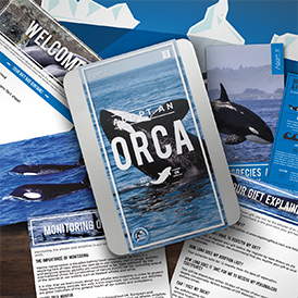Adopt an Orca