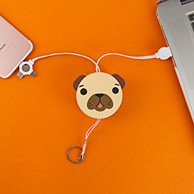 Retractable Pug Cable