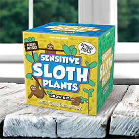 Sensitive Sloth Plants