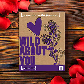 wild about you